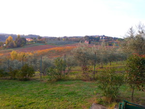 Colori d'autunno Basisa b&b