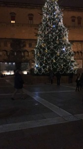 Bologna Albero Basisa